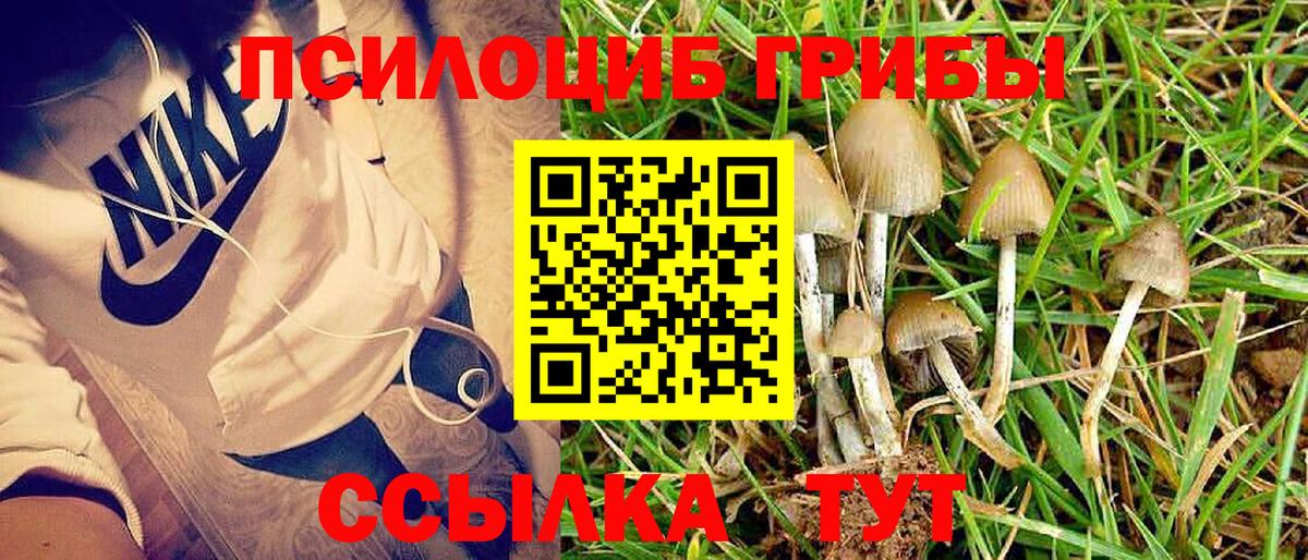 Галлюциногенные грибы MAGIC MUSHROOMS Асбест
